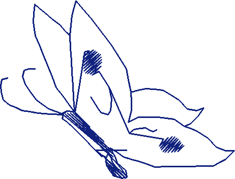 Butterflies 19  (38)