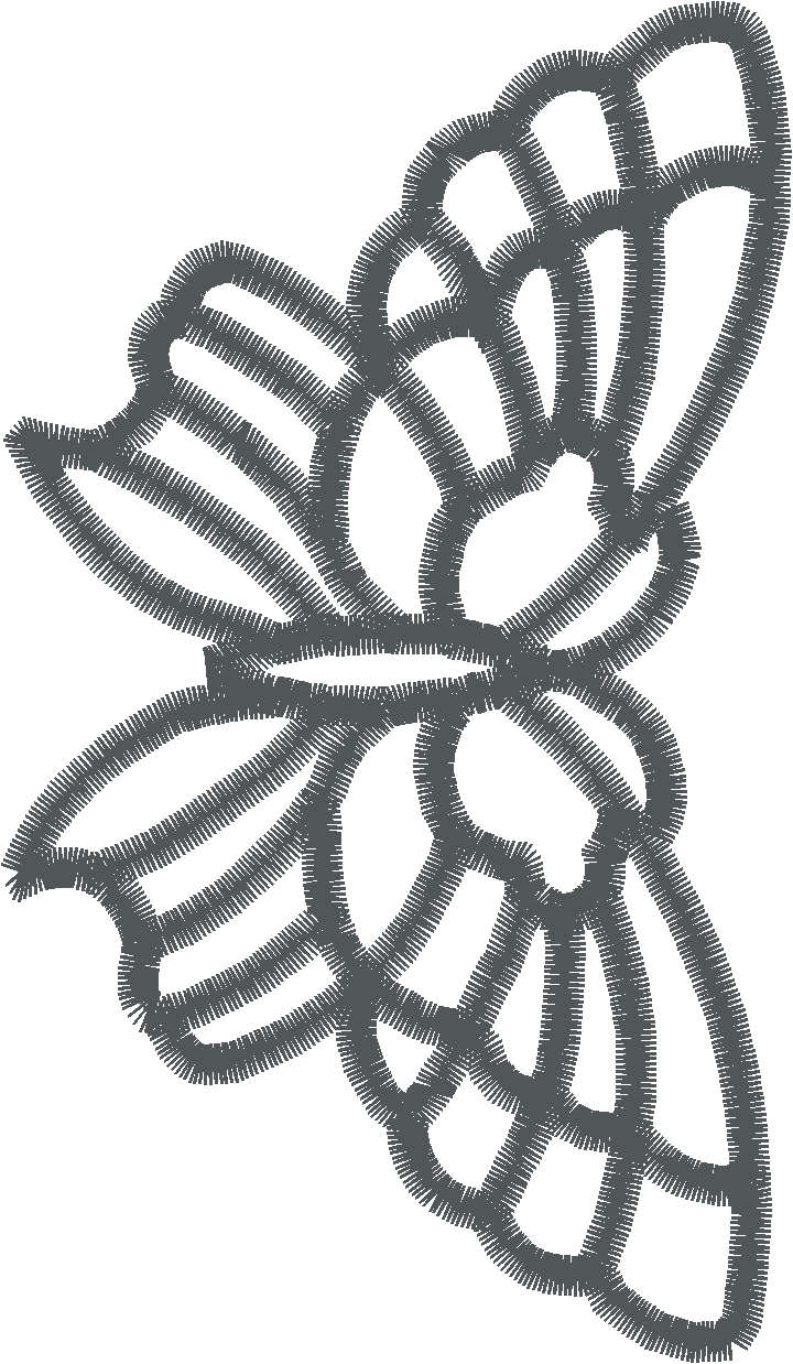 Butterflies 19  (42)