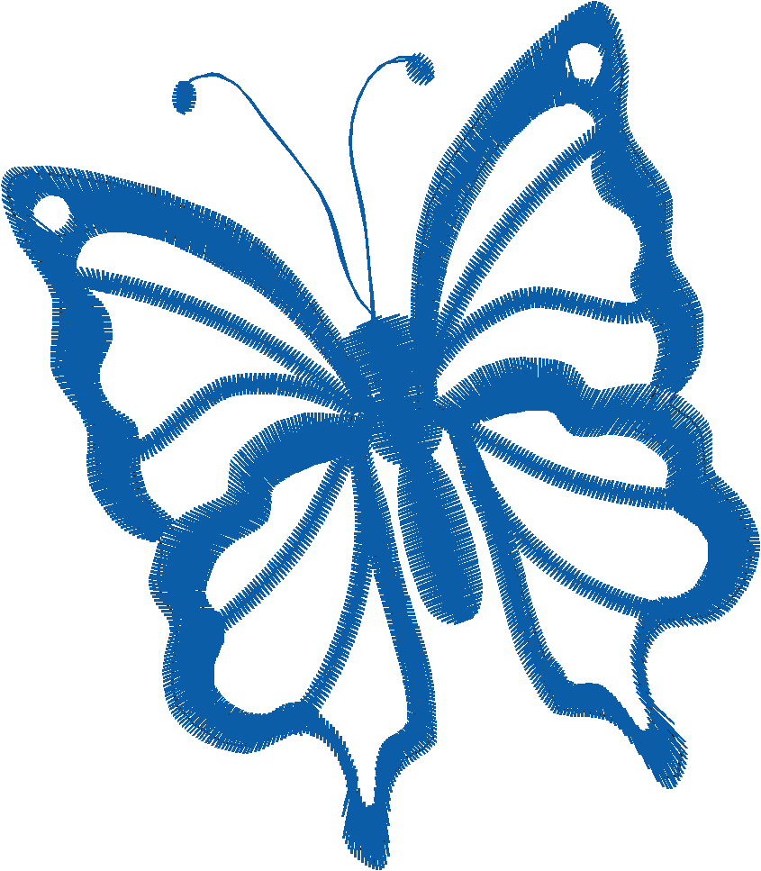 Butterflies 19  (43)