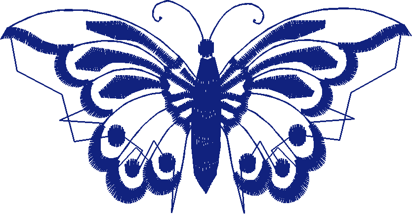 Butterflies 19  (48)