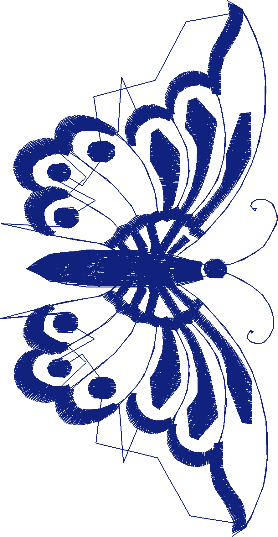 Butterflies 19  (49)