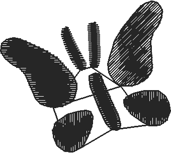 Butterflies 19  (54)