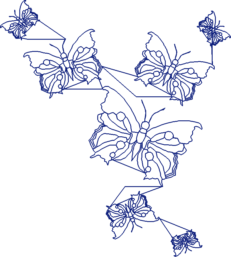 Butterflies 19  (55)