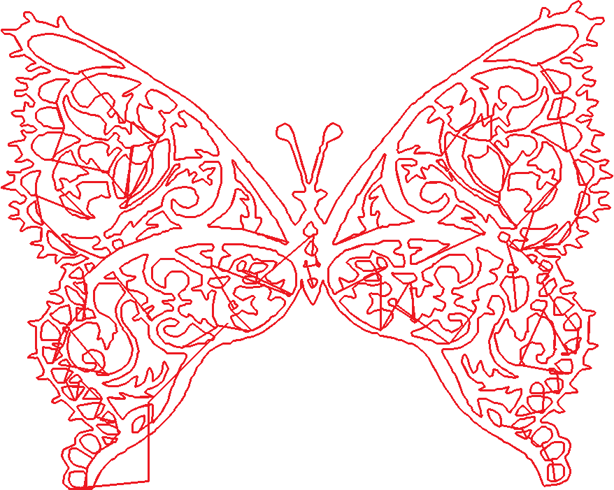 Butterflies 19  (56)