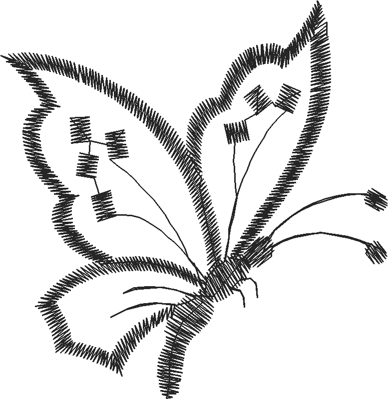 Butterflies 19  (57)