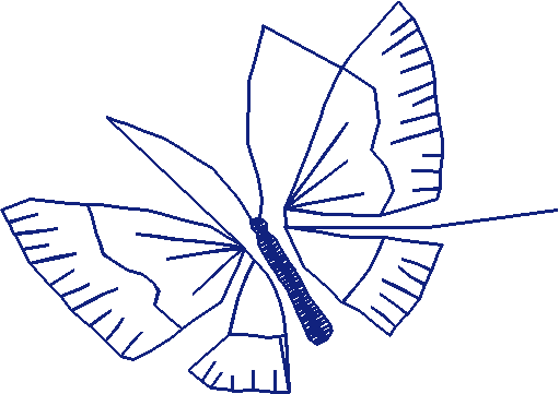 Butterflies 19  (58)