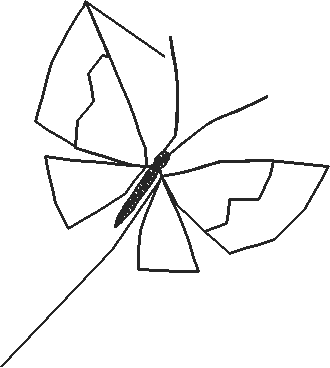 Butterflies 19  (59)