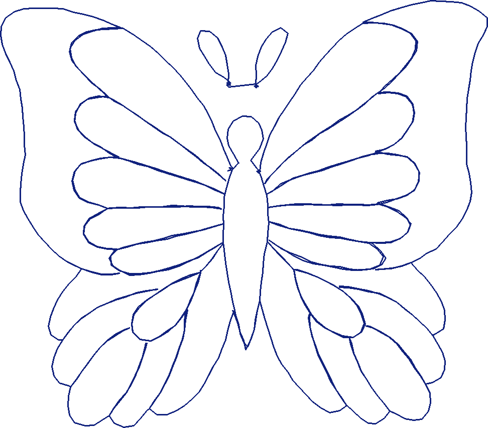 Butterflies 19  (61)