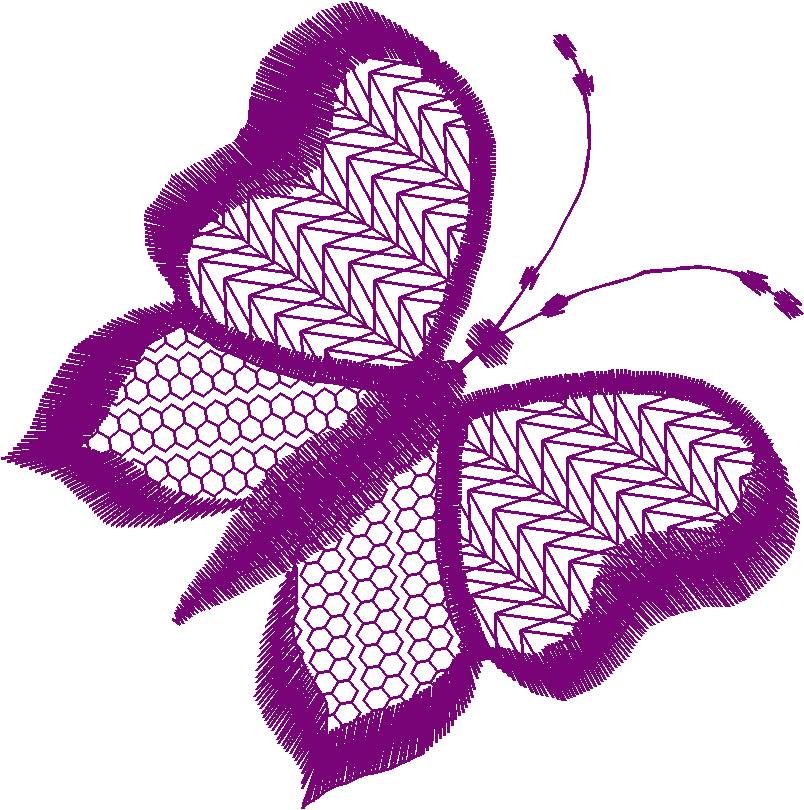 Butterflies 19  (67)