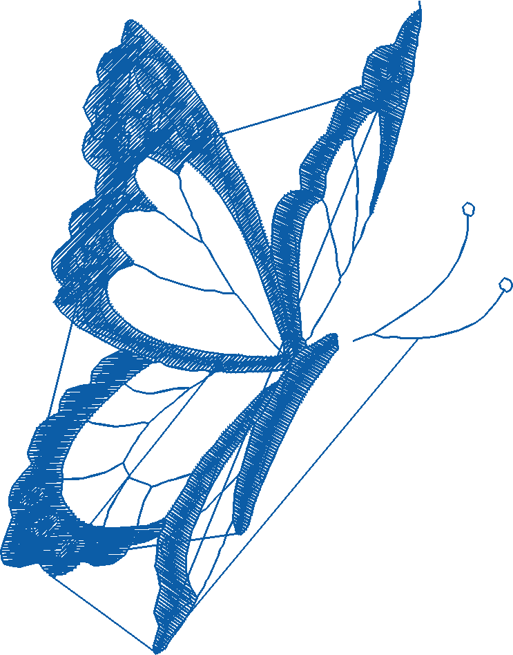 Butterflies 19  (68)