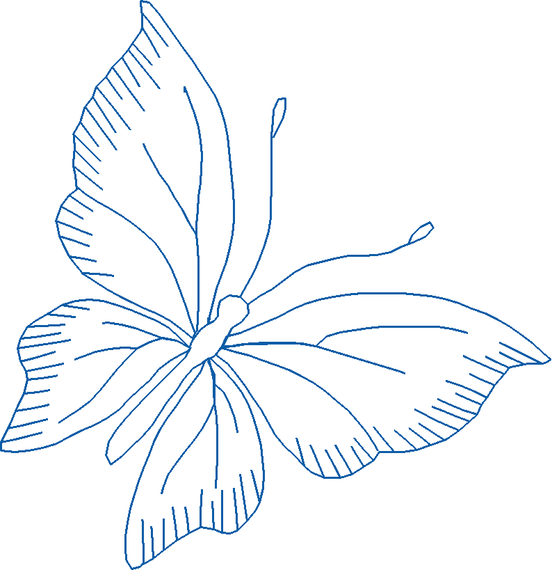 Butterflies 19  (69)