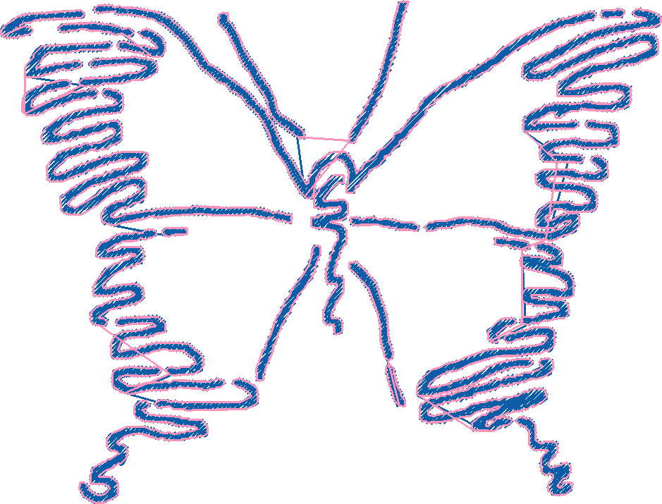 Butterflies 19  (70)