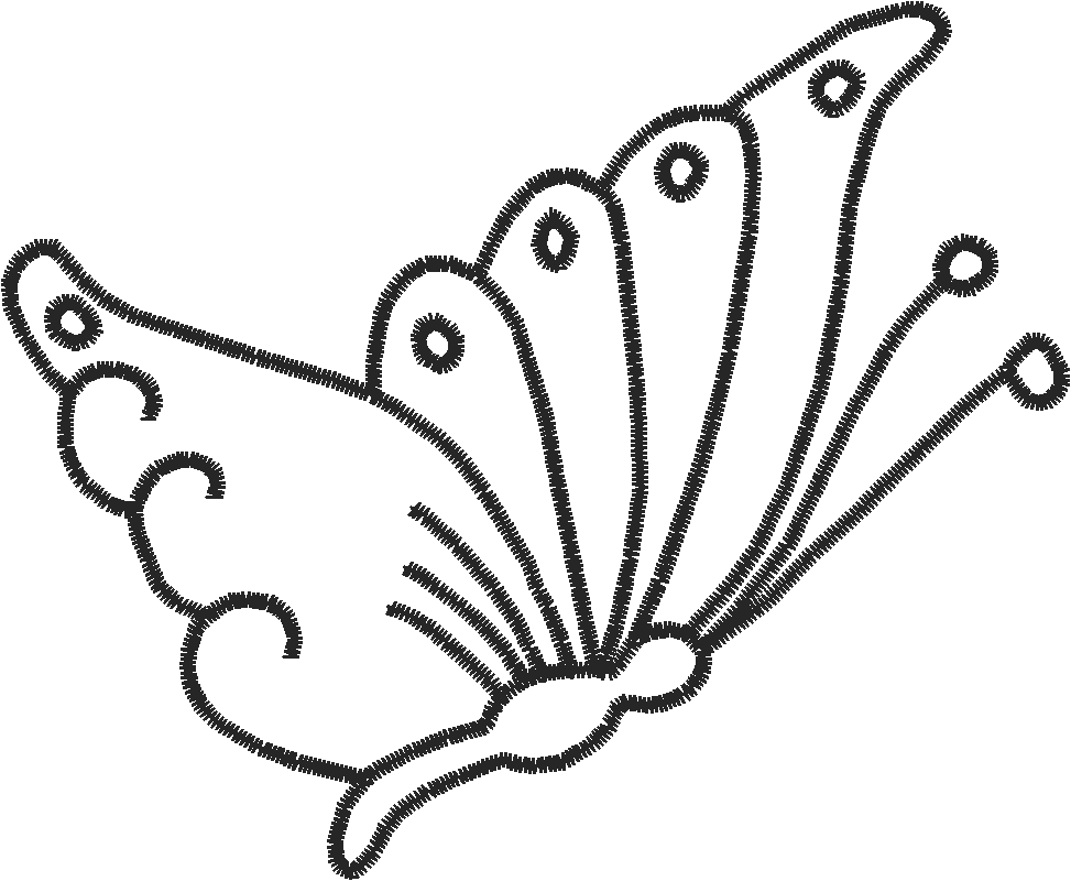 Butterflies 19  (72)