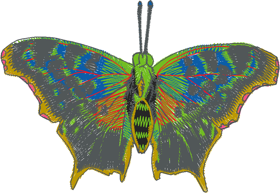 Butterflies 2  (3)