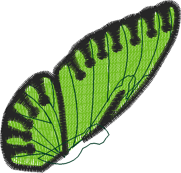 Butterflies 20 - Victorian (18)