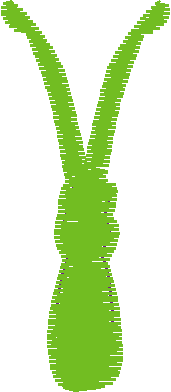 Butterflies 20 - Victorian (20)