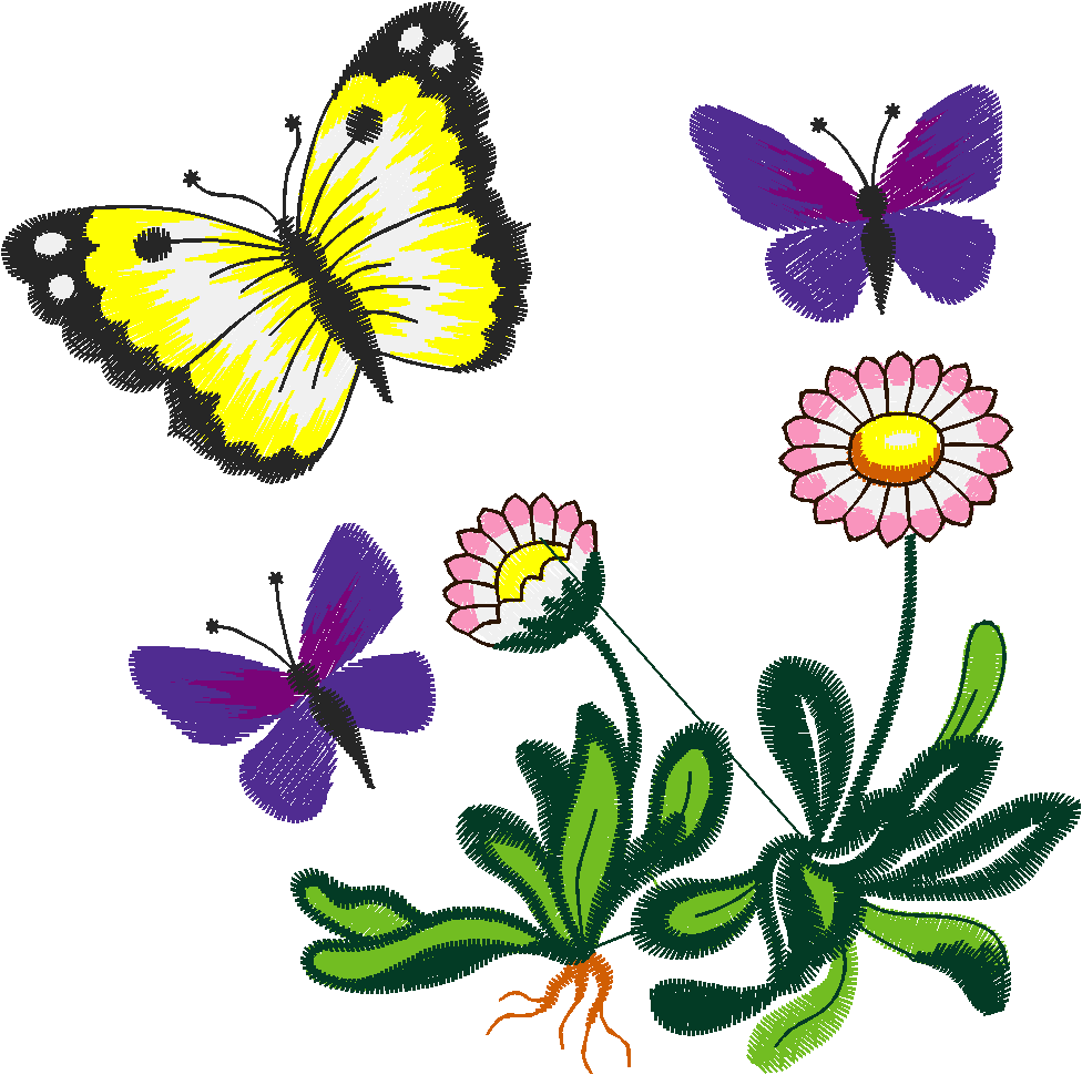 Butterflies 21  (11)