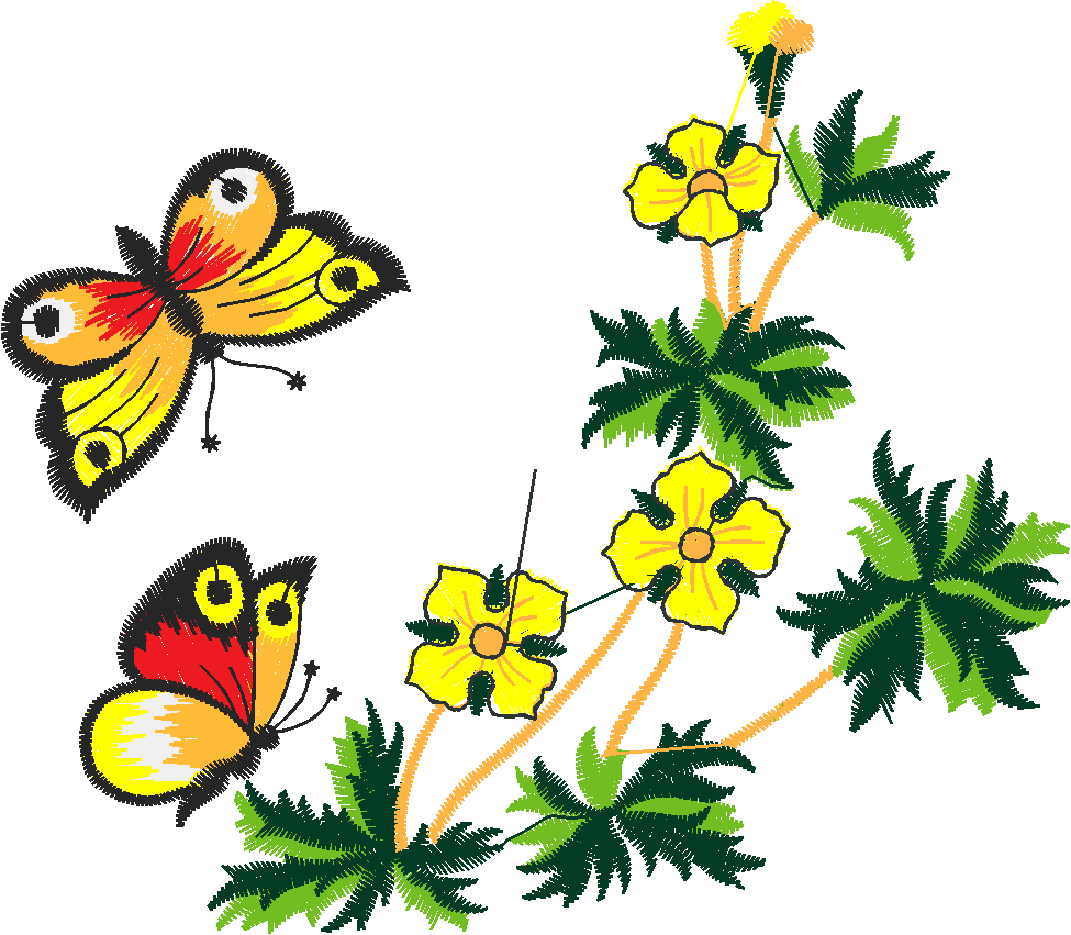 Butterflies 21  (13)