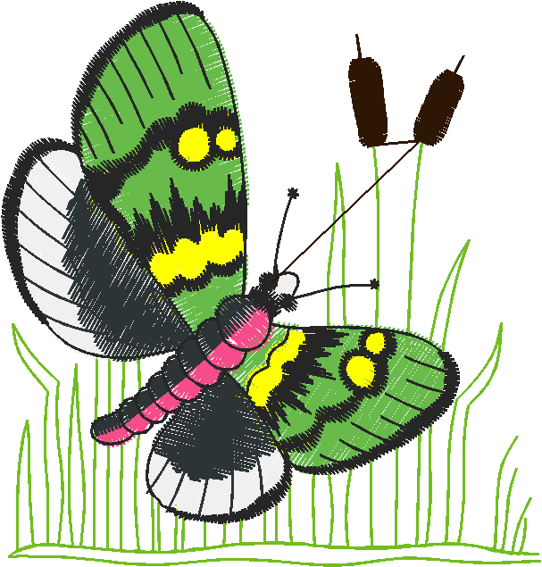 Butterflies 21  (15)