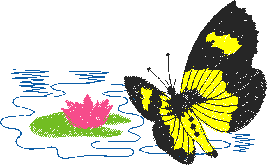 Butterflies 21  (16)