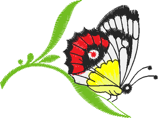 Butterflies 21  (20)