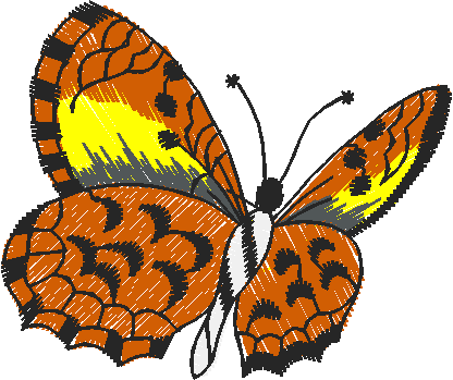 Butterflies 21  (21)