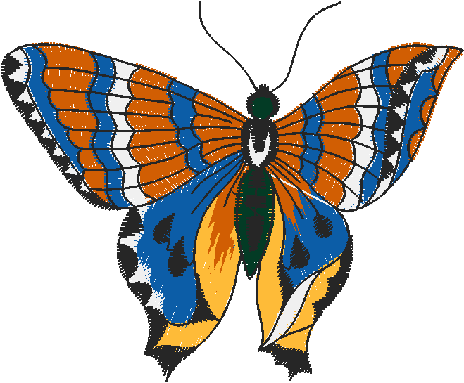 Butterflies 21  (24)