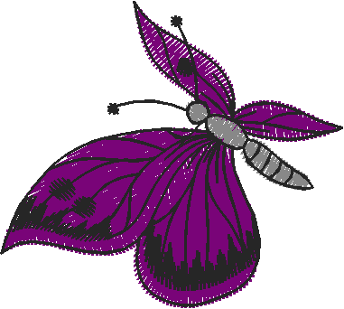 Butterflies 21  (25)