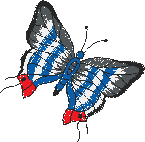 Butterflies 21  (28)