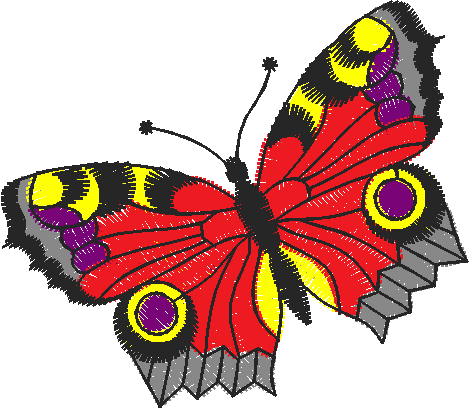 Butterflies 21  (29)