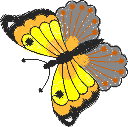 Butterflies 21  (31)