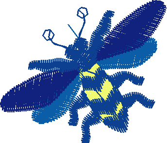 Butterflies 21  (34)