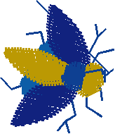 Butterflies 21  (35)