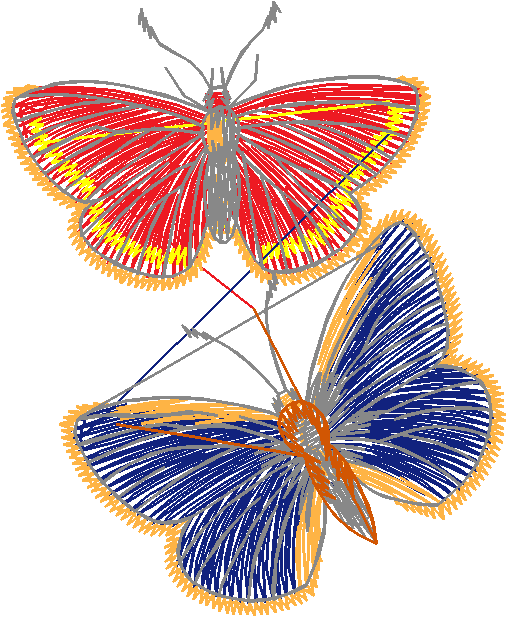 Butterflies 22 (16)