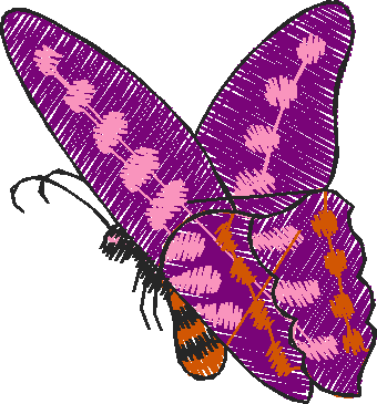 Butterflies 22 (31)