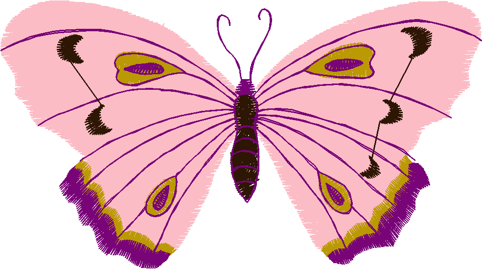 Butterflies 23 (36)