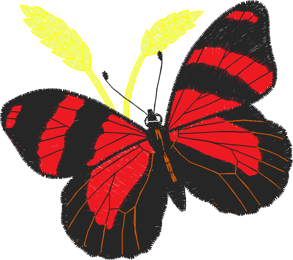 Butterflies 24 (29)