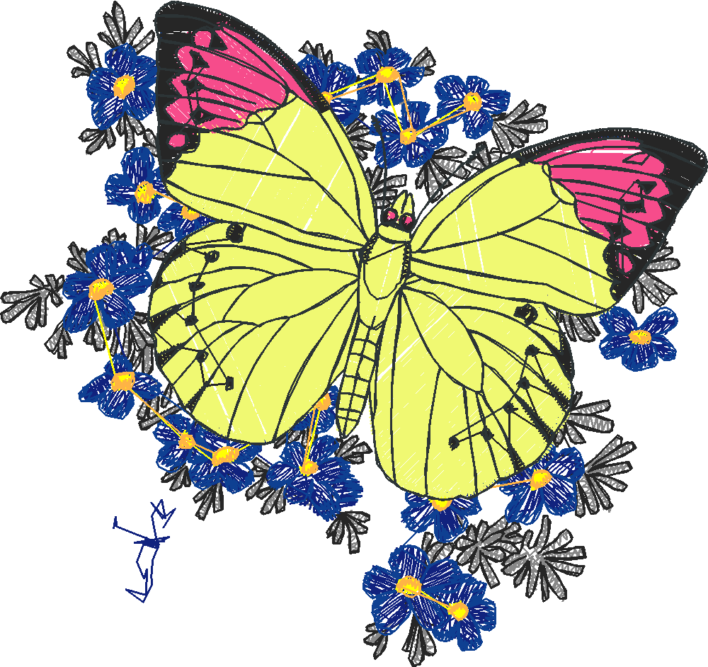 Butterflies 24 (6)
