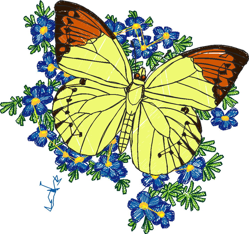 Butterflies 24 (7)