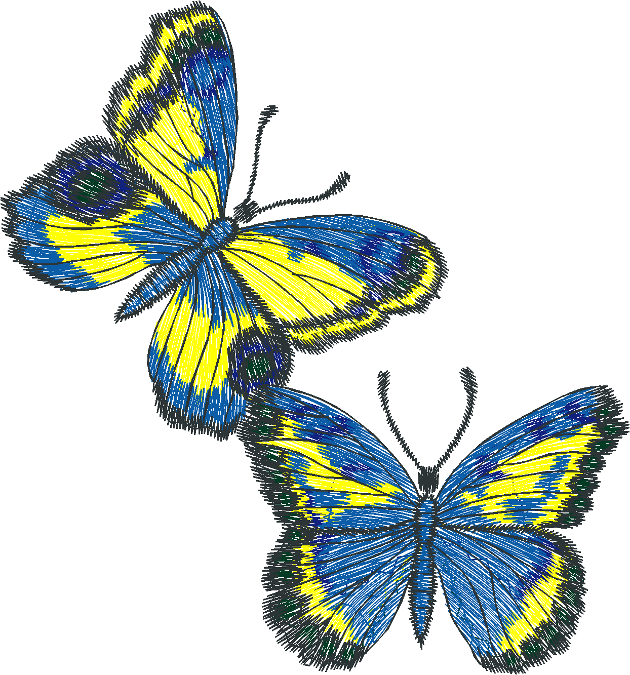 Butterflies 26 (27)