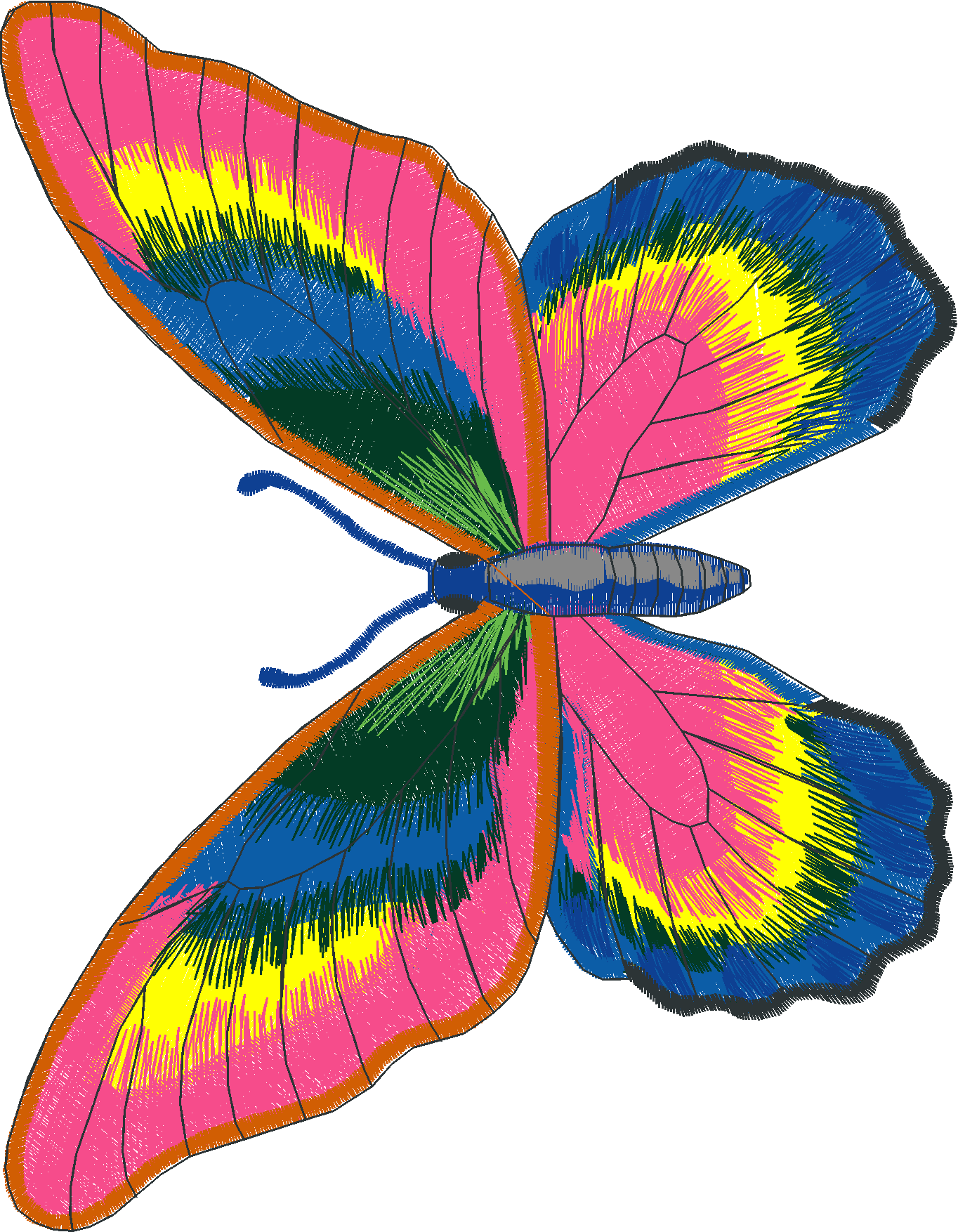 Butterflies 26 (30)