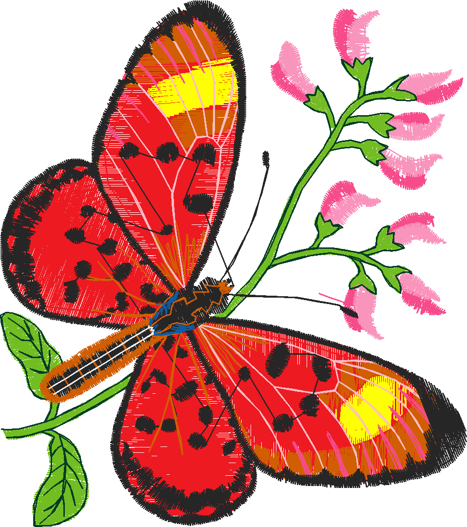 Butterflies 26 (32)