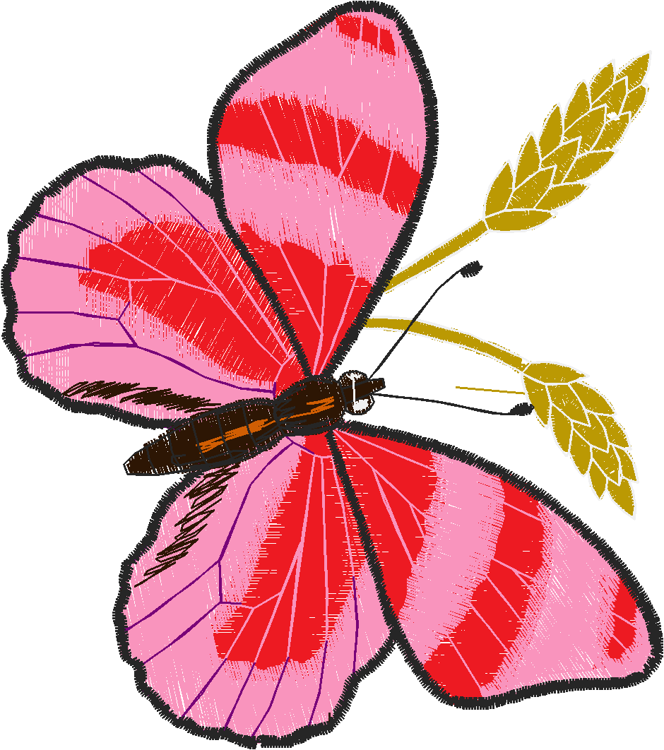 Butterflies 26 (35)