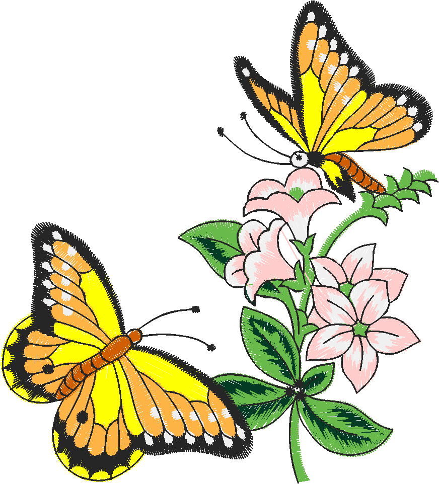 Butterflies 27 (1)