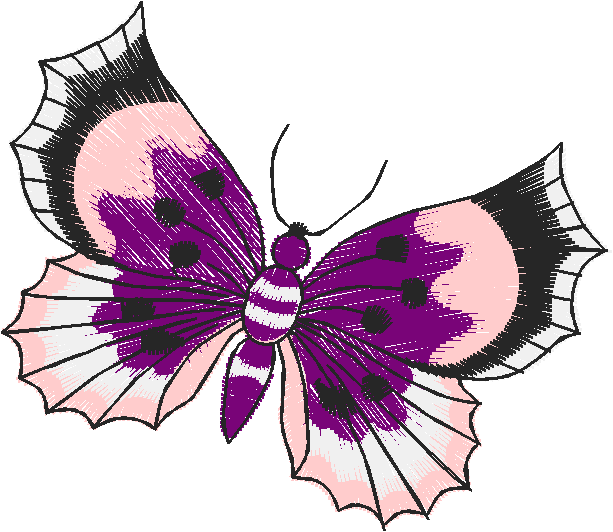 Butterflies 27 (18)