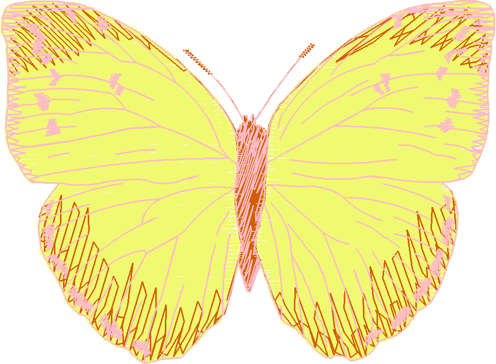Butterflies 27 (37)