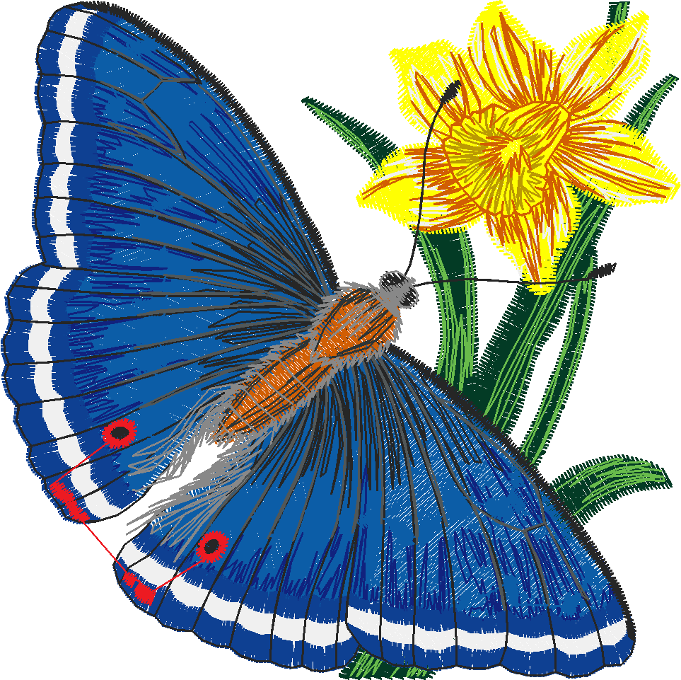 Butterflies 29 (23)