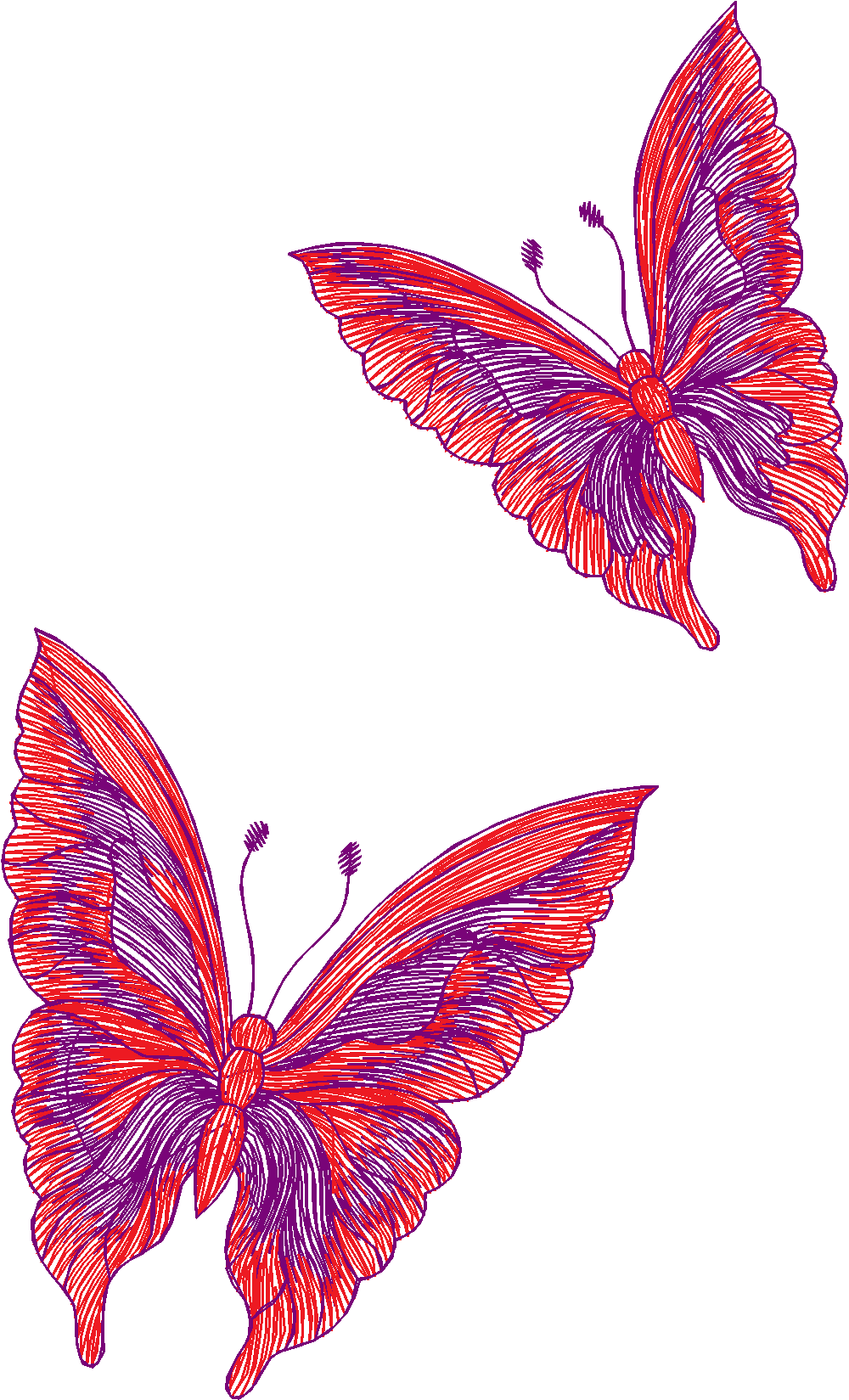 Butterflies 29 (27)