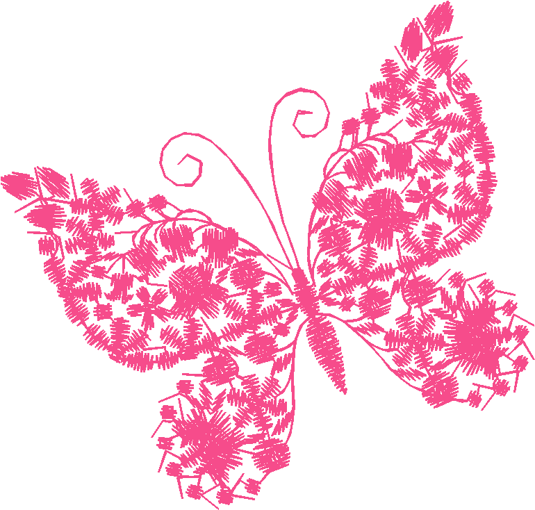 Butterflies 34  (10)