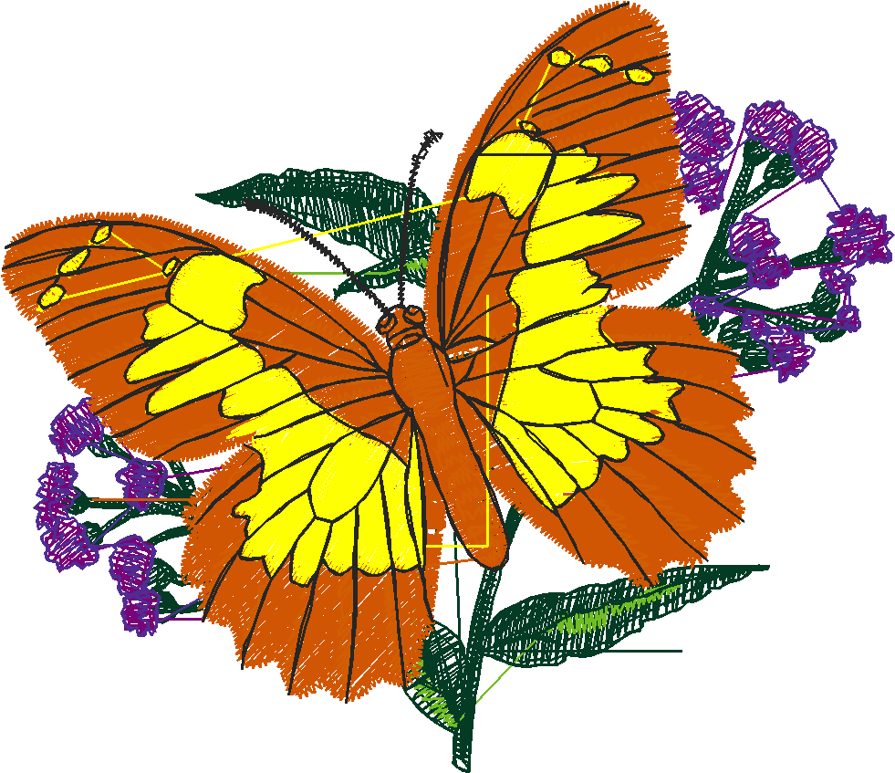 Butterflies 6  (4)